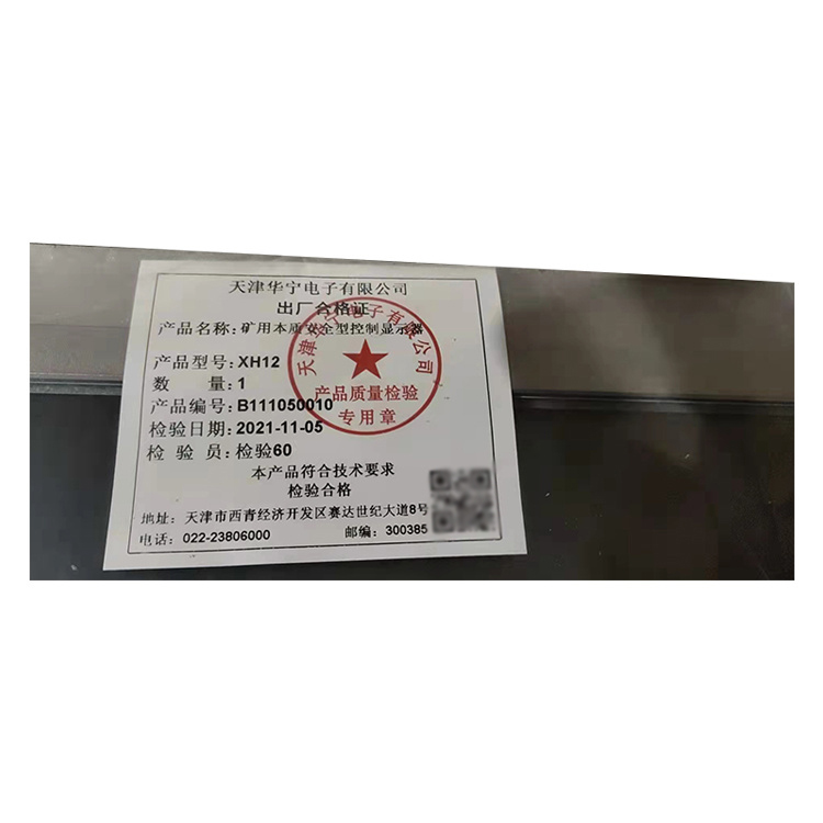 天津華寧XH12礦用本質(zhì)**型控制顯示器-2.jpg